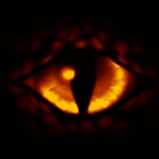 Argus HD app icon